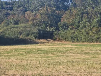 RECO teren extravilan Betfia - foto 6