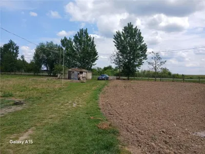 RECO Microferma avicola la doar 14 km de Oradea - foto 5