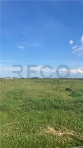 RECO TEREN VANZARE NOJORID - foto 1