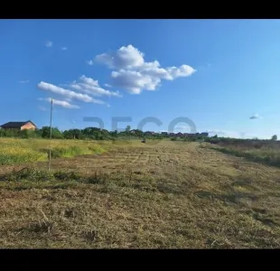RECO Teren intravilan Paleu - foto 2