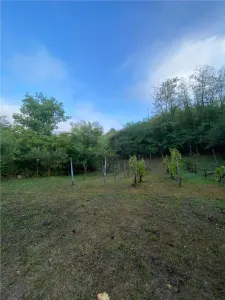 Reco Teren intravilan in Podgoria 2282mp - Oradea