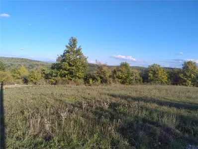 PECO Teren intravilan Saldabagiu De Munte - foto 4