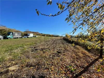 RECO vindem casa in Tinaud - foto 3
