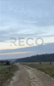 RECO Teren intravilan langa padure Pausa - Hidiselu de Sus