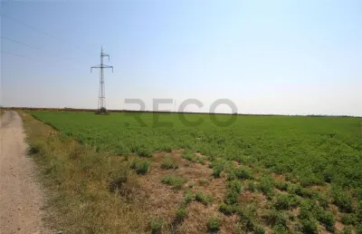 RECO, teren intravilan, Zona Sinteu, Bihor - foto 3