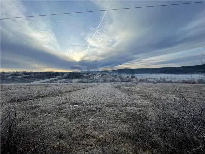 RECO teren Vadu Crisului - foto 2