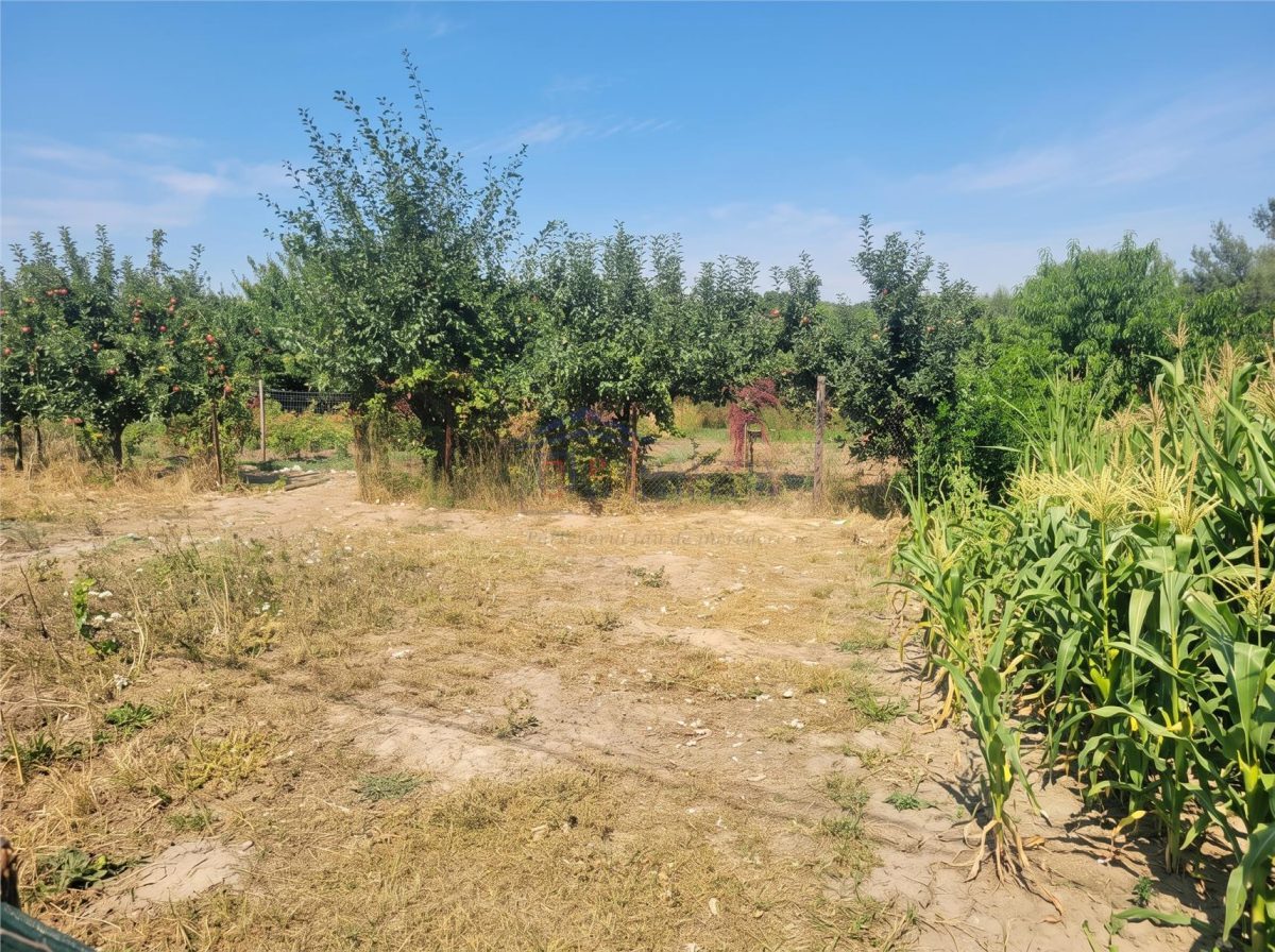 Teren intravilan | Salcea | 1848 mp | T-7866 - Salcea