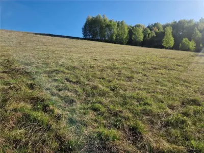 RECO, teren intravilan, Zona Sinteu, Bihor - foto 3