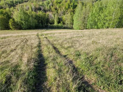 RECO, teren intravilan, Zona Sinteu, Bihor - foto 6