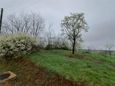 RECO teren Viisoara - foto 1