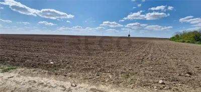 RECO Teren extravilan in Oradea 13000mp - foto 4