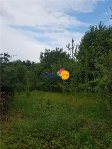 TEREN 2000 MP INTRAVILAN - Iasi