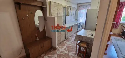 Garsoniera de vanzare etaj 3 Cetate - foto 5