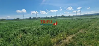 Teren de vanzare zona Soseaua de Centura - Alba Iulia