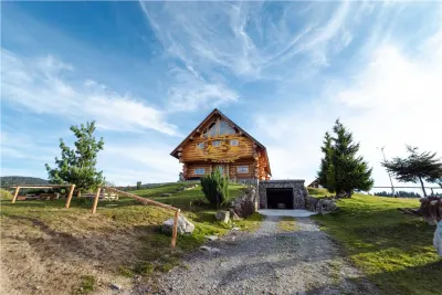 Casa din busteni cu ferma zootehnica si afacere (Tengheler, Com. Ditrau) - Tengheler