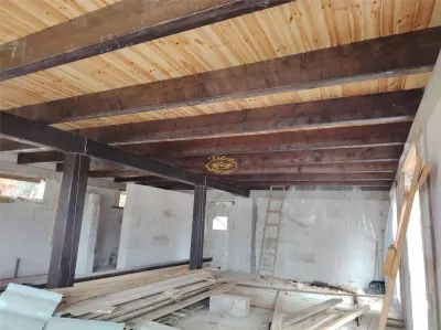 Casa de vacanta nefinalizata (Borzont) - foto 6