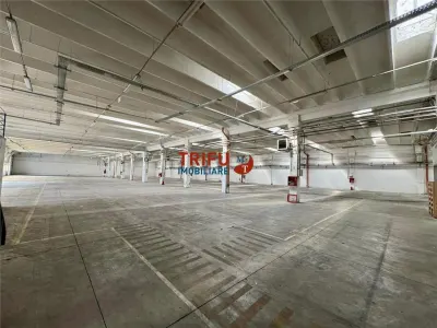 Hala de inchiriat zona Dedeman - foto 4