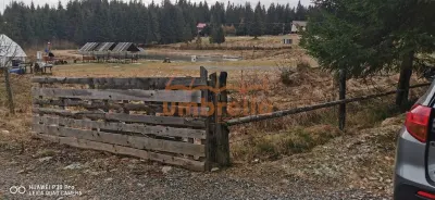 De vanzare teren 1.238m² Belis langa Pescarie - La Gavrila ! 21€m² - foto 6