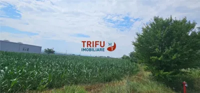 Teren Intravilan Soseaua De Centura !3500mp - foto 2