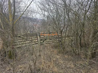 2 Terenuri de vanzare in Popesti Baciu 500m²/40€ m². - foto 6