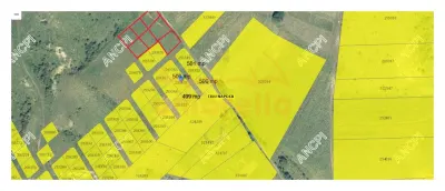 Teren de vanzare extravilan pe Valea Chintaului, 3.500m²/30€ m² - foto 3