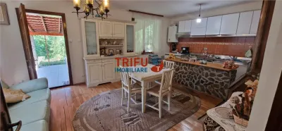 Casă individuală 4 camere, zona Cetate, teren 720 mp, Alba Iulia - foto 19