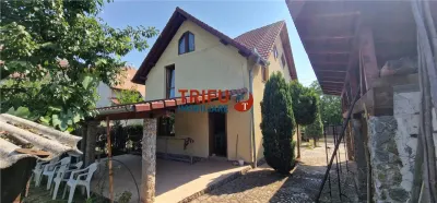 Casă individuală 4 camere, zona Cetate, teren 720 mp, Alba Iulia - foto 4