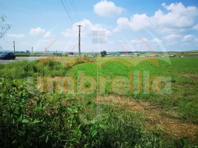 Teren de vanzare in Iclod  8.659m²/10€ m²  DN1 - foto 4