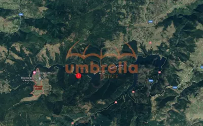 Teren de vanzare 29.131m²/35€ m² lac Belis, la Paraul Butoaie, Giurcuta - foto 6