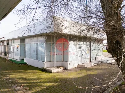 Spatiu Comercial la Doar Cativa Pasi de Promenada - Mamaia Zona Cazino - foto 5