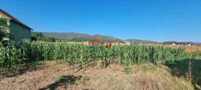 Teren Alba Micesti pretabil pentru construire bloc - Alba Iulia