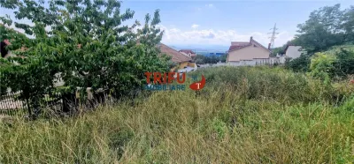 Teren de vânzare zona Schit - foto 2