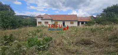 Casa de vanzare in Hapria 4139mp teren - foto 3