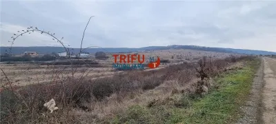 Teren intravilan 762 mp de vanzare  zona Podei - foto 2