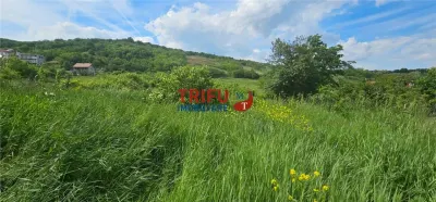 Teren De Vanzare Valea Popii ! - Alba Iulia