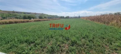 Teren intravilan 4356 mp de vanzare in Teleac langa terenul de golf - Ciugud