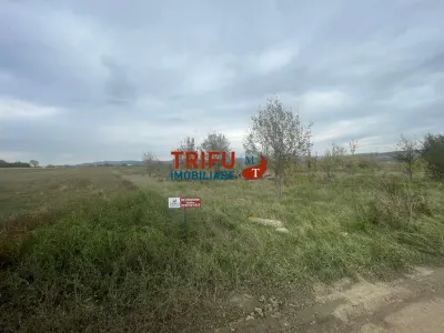 Teren Intravilan în Alba Iulia, pretabil locuinte - Alba Iulia