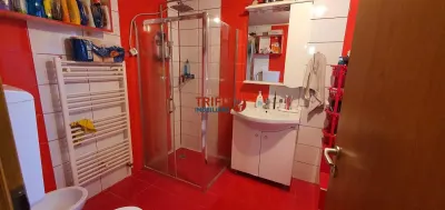 Casa moderna S+P+M cu 10 camere in Alba Iulia Centru - foto 25