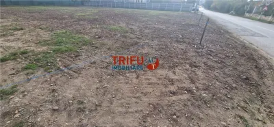 Teren cu o suprafață de 1093 mp, poziționat în zona Cetate, beneficiind de acces la trei drumuri - Alba Iulia