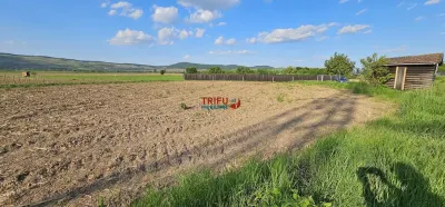 Teren construibil 300mp zona Micesti - foto 1