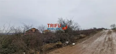 Teren de vanzare zona Podei - foto 5