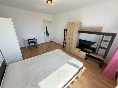 Apartament 2 camere decomandat, Podu Ros - Dedeman  FARA RISC - foto 6