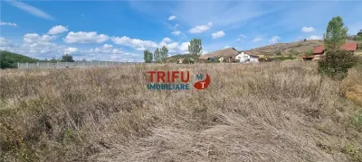 Teren intravilan 2100 mp de vanzare in Teleac la asfalt cu toate utilitatile - foto 2