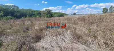 Teren intravilan 2100 mp de vanzare in Teleac la asfalt cu toate utilitatile - foto 3