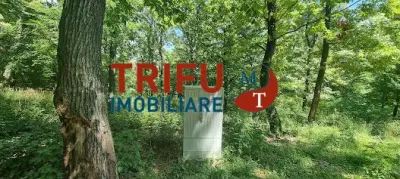 Teren intravilan 3177 mp de vanzare Alba-Micesti spre padure cu PUZ aprobat - Alba Iulia
