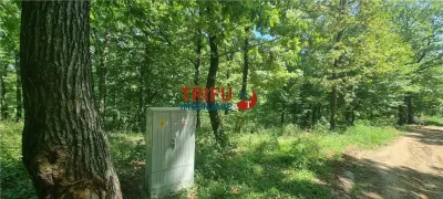 Teren intravilan 3177 mp de vanzare Alba-Micesti spre padure cu PUZ aprobat - foto 2