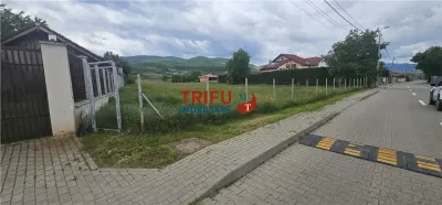 Teren Intravilan Generos, 9413 mp, cu Vedere Spre Pădure, în Zona Micesti - Alba Iulia