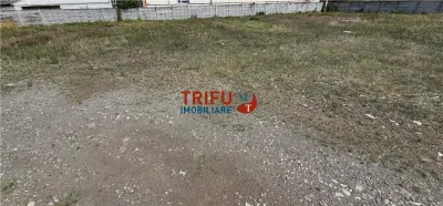 Hala de inchiriat Alba Iulia - foto 6