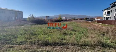 Teren intravilan 5800 mp de vanzare Cetate pretabil pentru constructie case in regim cuplat si insiruit - foto 3