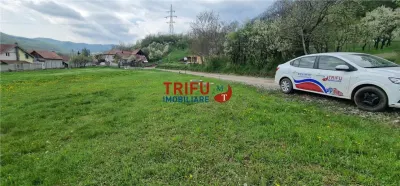 Teren de vis la liziera pădurii – liniște, natură și aer curat! - Ampoita
